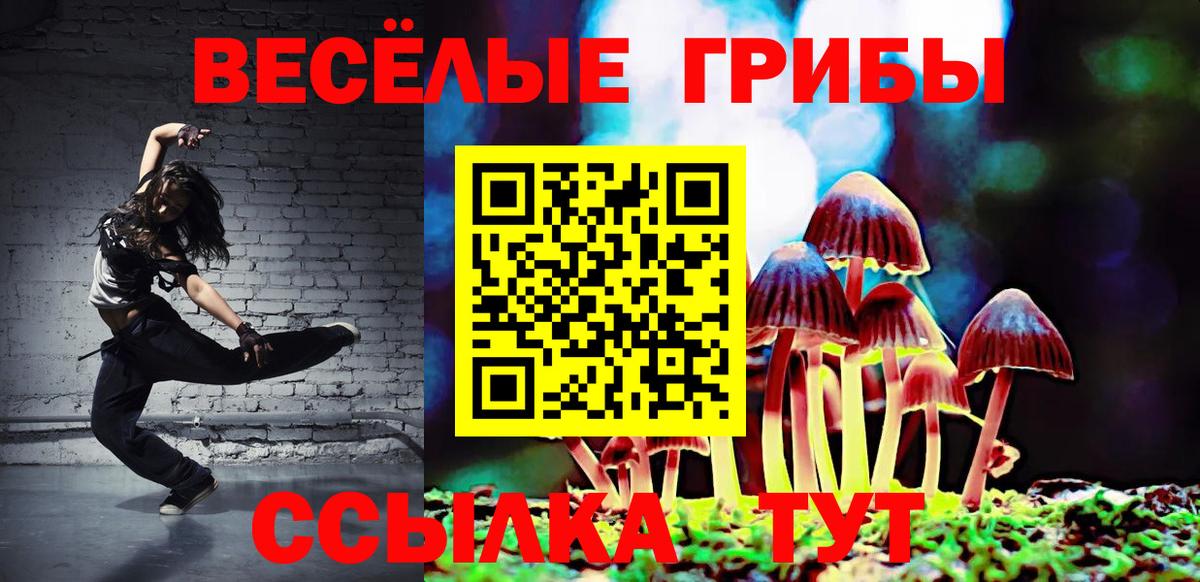 Галлюциногенные грибы Cubensis Москва