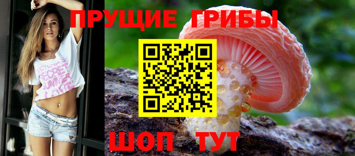 Москва  Галлюциногенные грибы мухоморы  закладка  Вход с VPN 